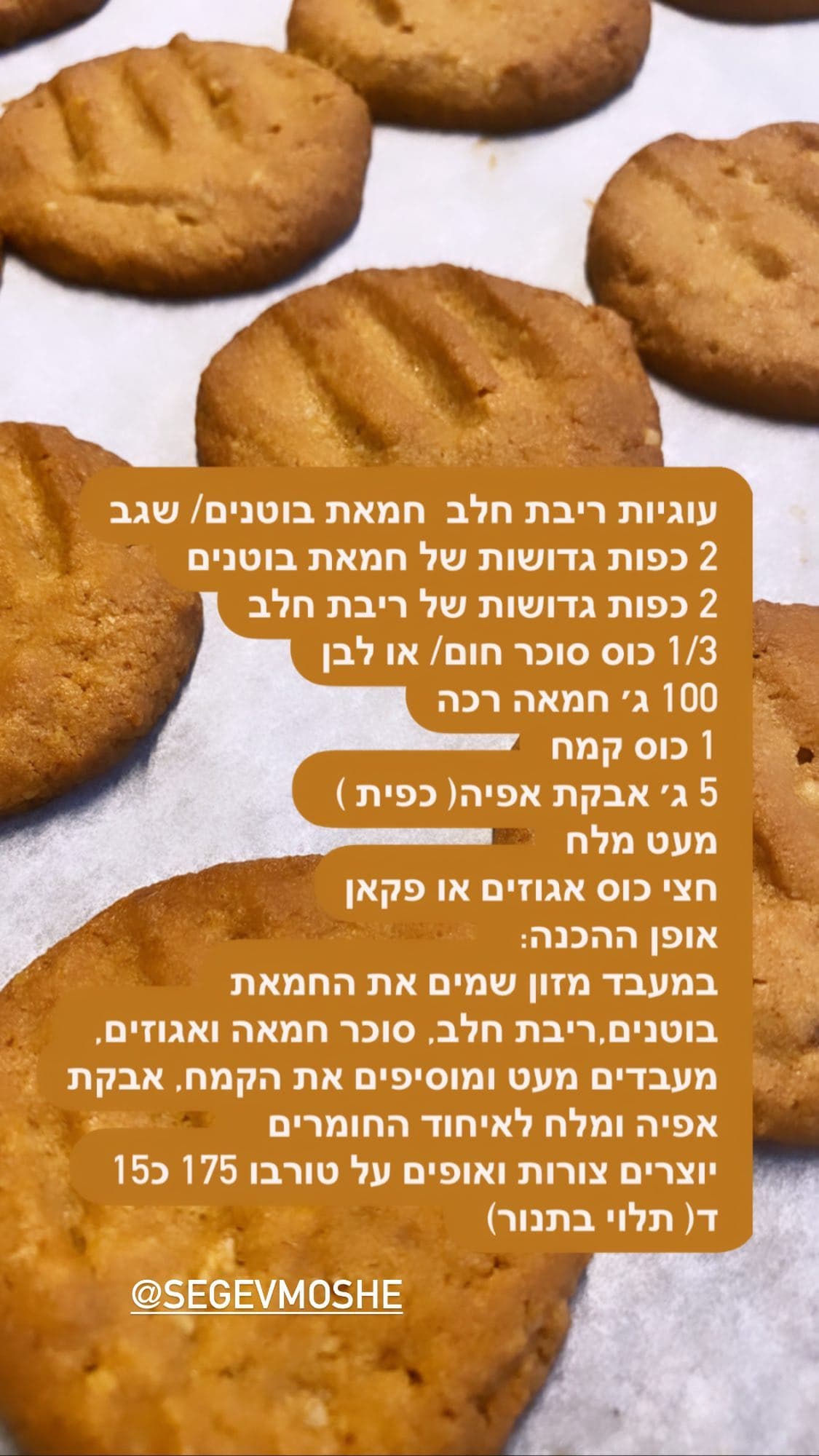 עוגיות חמאת חלב / חמאת בוטנים / שגב