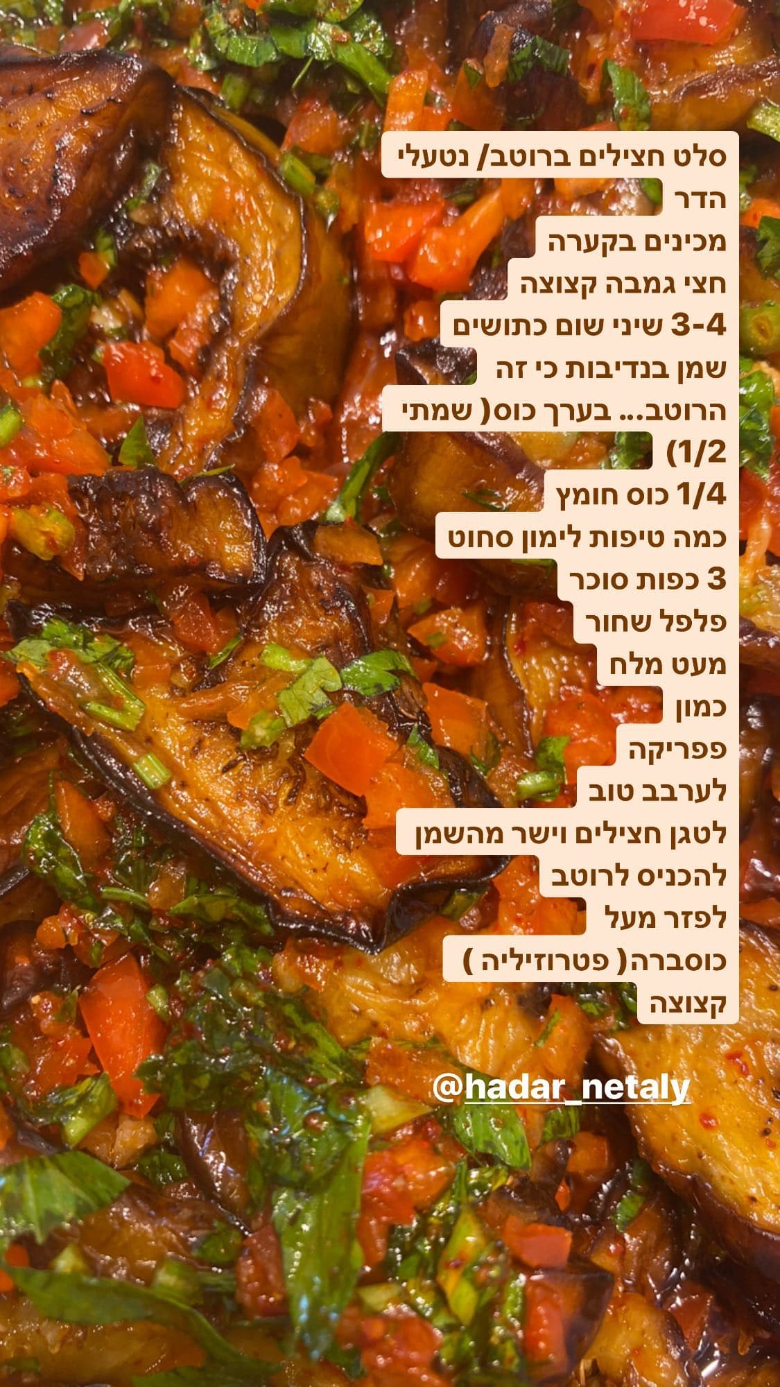 סלט חצילים ברוטב / נטעלי הדר