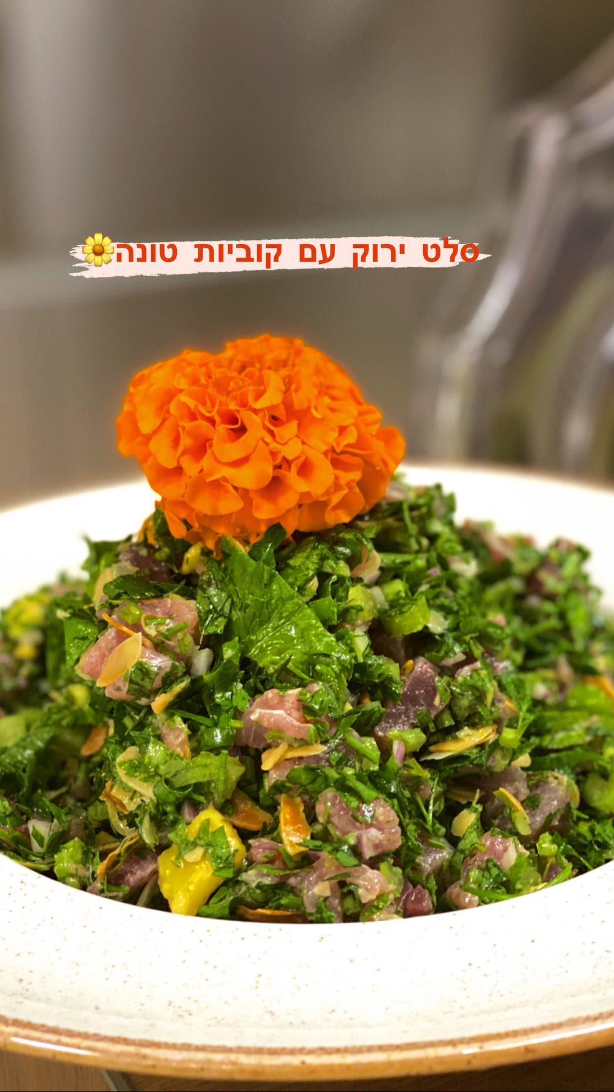 סלט ירוק עם קוביות טונה