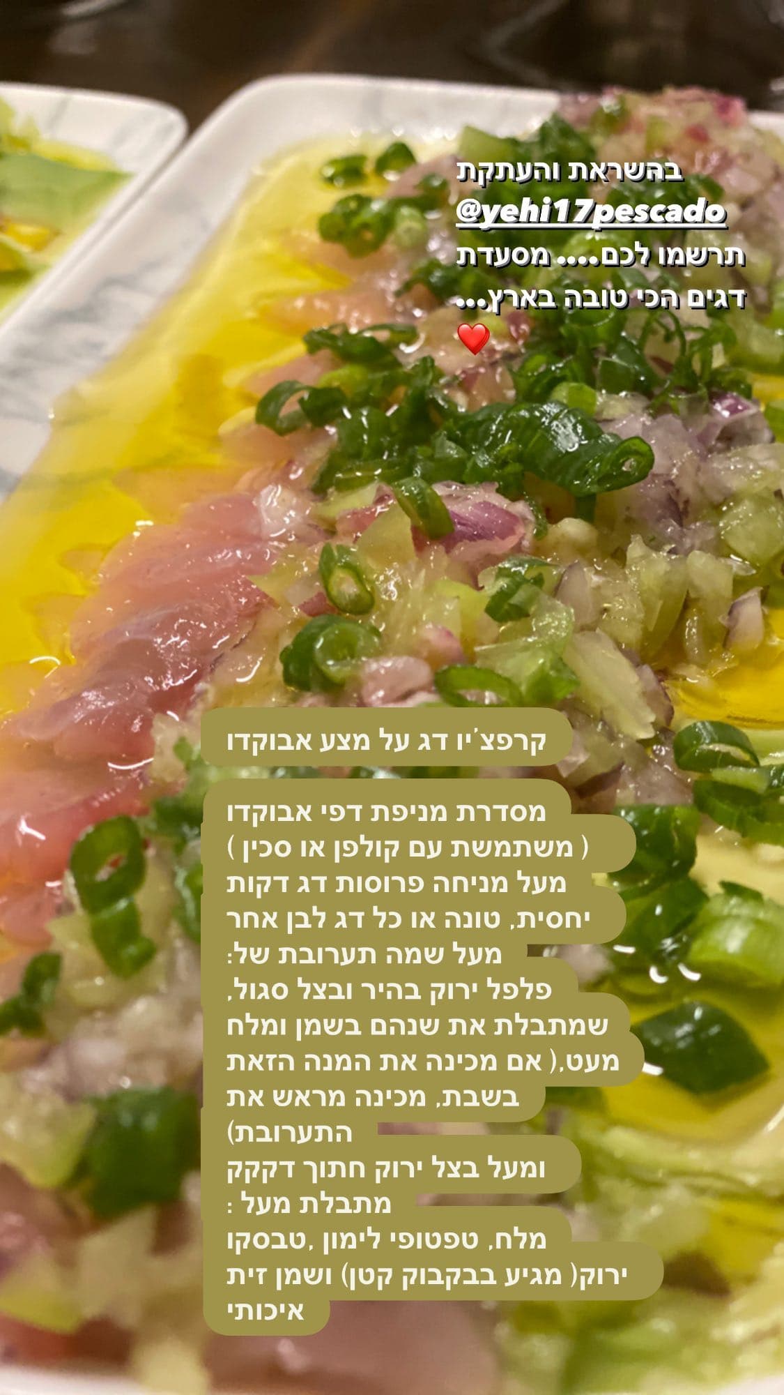 קרפצ'יו דג על מצע אבוקדו